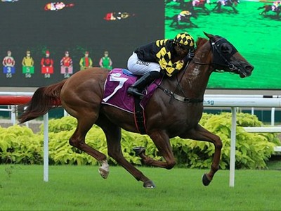 Golden Monkey Secures First Group Win For Singapore Trainer  ...